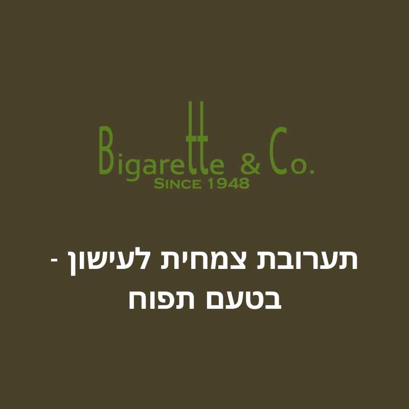 תערובת צמחית לעישון בטעם תפוח